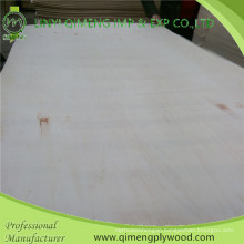 1220X2440X1.6-18mm Basic Poplar Plywood From Linyi Qimeng